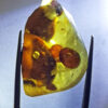 Exceptionally rare pod-like amber inclusions