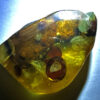 Exceptionally rare pod-like amber inclusions