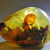 Exceptionally rare pod-like amber inclusions