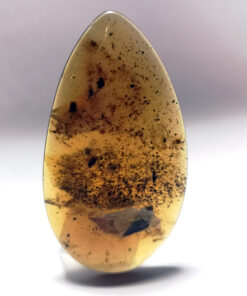 Large, flat, tear-drop shaped amber pendant with speckled amber inclusions (Cretaceous)