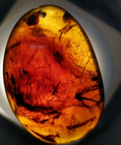 Red amber inclusion with particles of flora interspersed throughout