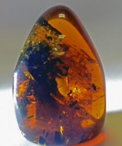 ovular bullet shaped myanmar amber inclusion