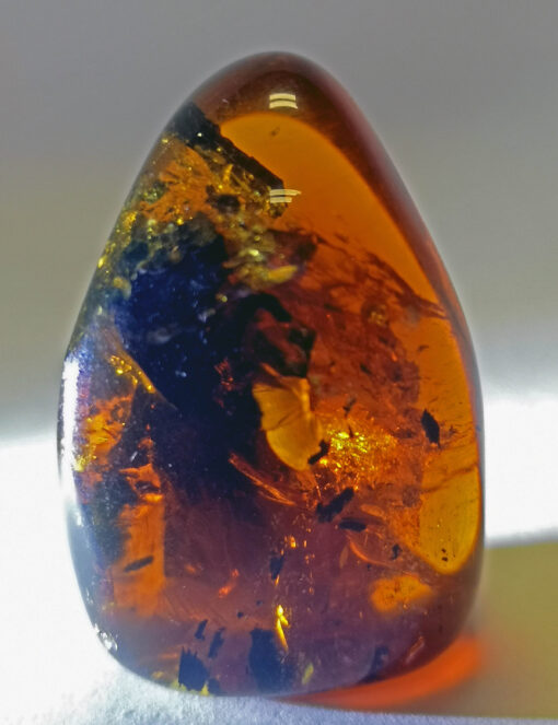 ovular bullet shaped myanmar amber inclusion