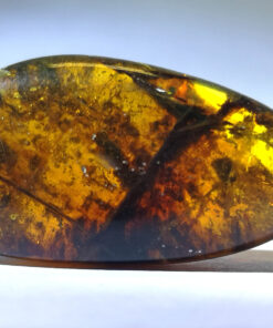 Ovular amber pendant with black floral stalk in centre; surrounded with floral, gas bubbles, and other inclusions inside