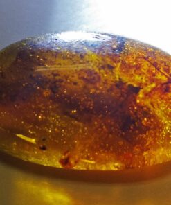 Amber pendant containing gas bubbles, polished to expose a bright window of light into yellowish-brown inclusions (flora)