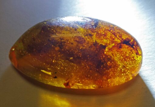 Amber pendant containing gas bubbles, polished to expose a bright window of light into yellowish-brown inclusions (flora)