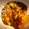 Irregularly shaped, and fiery yellow amber inclusion with several angular polished faces.