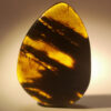 Wide, flat tear-drop shaped large Cretaceous Myanmar amber pendant containing wide bark-like strands of ancient flora