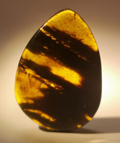 Wide, flat tear-drop shaped large Cretaceous Myanmar amber pendant containing wide bark-like strands of ancient flora