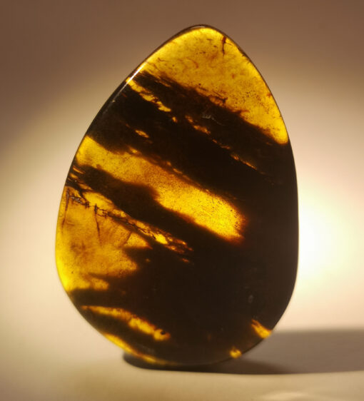 Wide, flat tear-drop shaped large Cretaceous Myanmar amber pendant containing wide bark-like strands of ancient flora