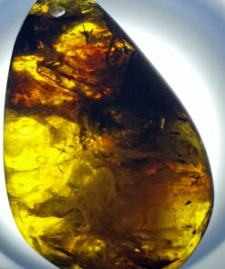 Mysterious swirl patterns can be found inside this piece of Cretaceous amber,