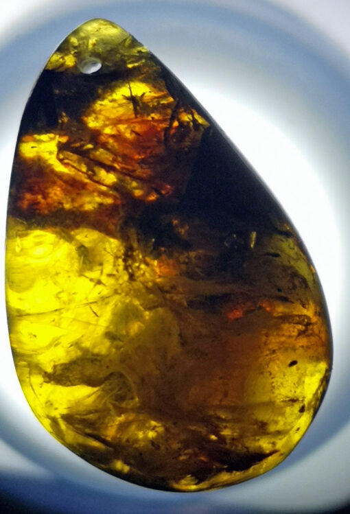 Mysterious swirl patterns can be found inside this piece of Cretaceous amber,