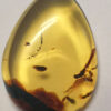 Fiery clear yellow amber pendant with visually appealing flora strands at bottom;