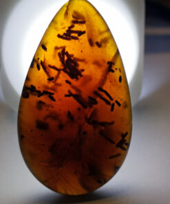 Dark yellow-brown amber inclusion containing possible Cretaceous droppings