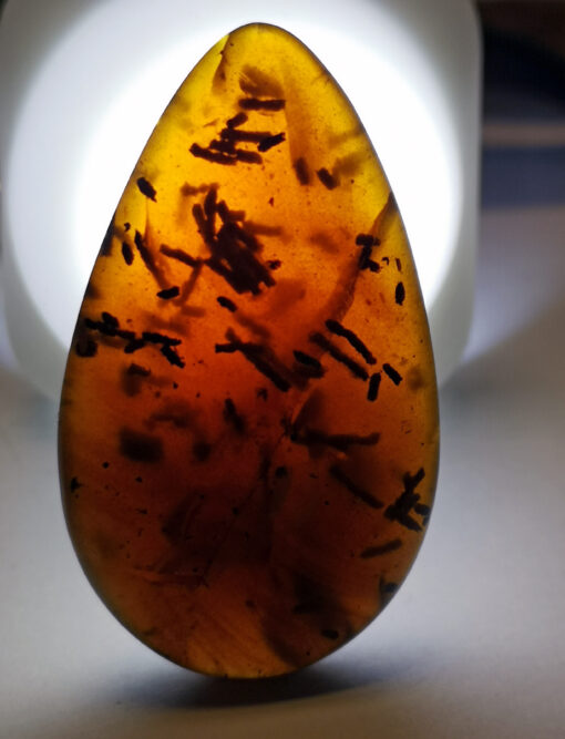 Dark yellow-brown amber inclusion containing possible Cretaceous droppings