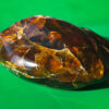 Gigantic Burmese amber nugget