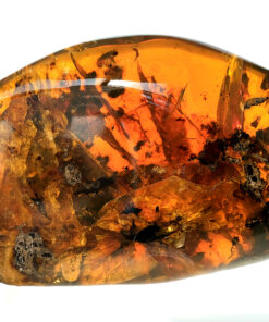 large sized Cretaceous prehistoric Myanmar amber slab