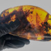 large sized Cretaceous prehistoric Myanmar amber slab