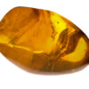 Very large yellow gold burmite amber with inclusion