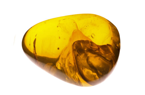 Very large yellow gold burmite amber with inclusion