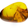 Very large yellow gold burmite amber with inclusion