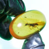 Cretaceous neuropteran mantidfly in Kachin Amber