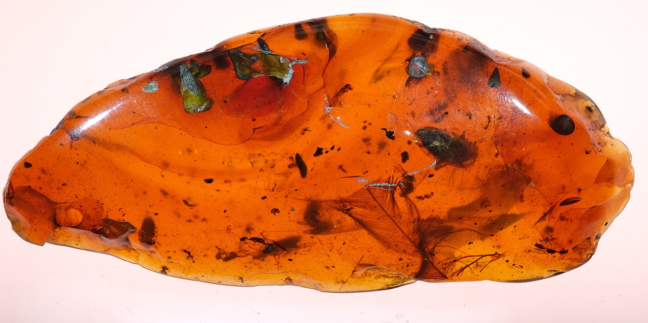 uftr-007-25-w-resize Large 83.5 ct amber specimen with preserved ancient feather from the Cretaceous period